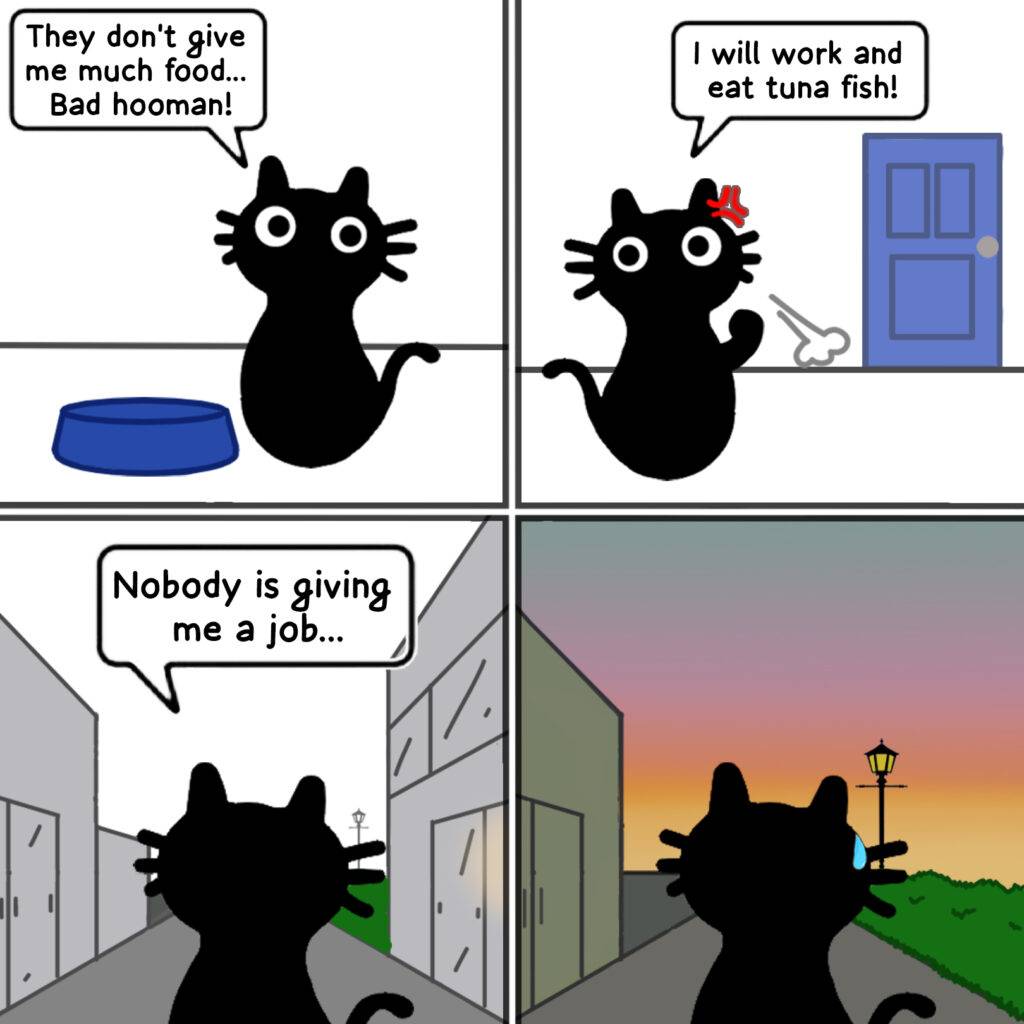 This Is Where It Started?🙀 1 - Plumbum Stationery Plumbum -