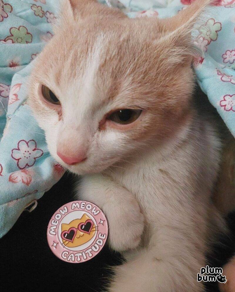 Product image of a lapel pin next to a cat, this variant is named meow meow catitude that's sold by Plumbum Stationaries BD.