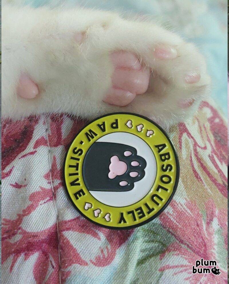 Product image of a lapel pin next to a pink cat paw, this variant is named Absolutely Pawsitive that's sold by Plumbum Stationaries BD.