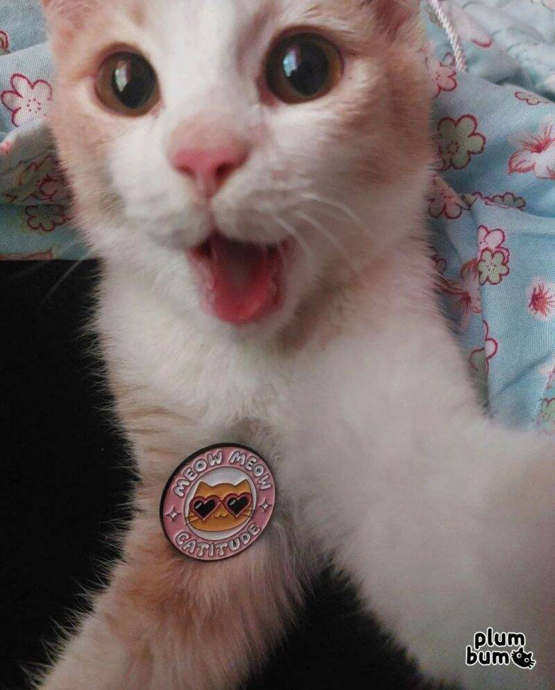 Product image of a lapel pin next to a cat, this variant is named meow meow catitude that's sold by Plumbum Stationaries BD.